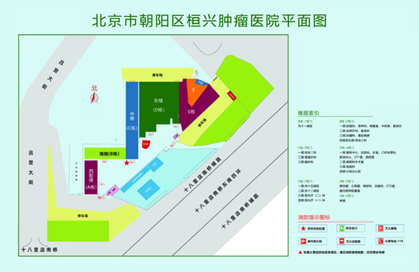 要操逼逼北京市朝阳区桓兴肿瘤医院平面图